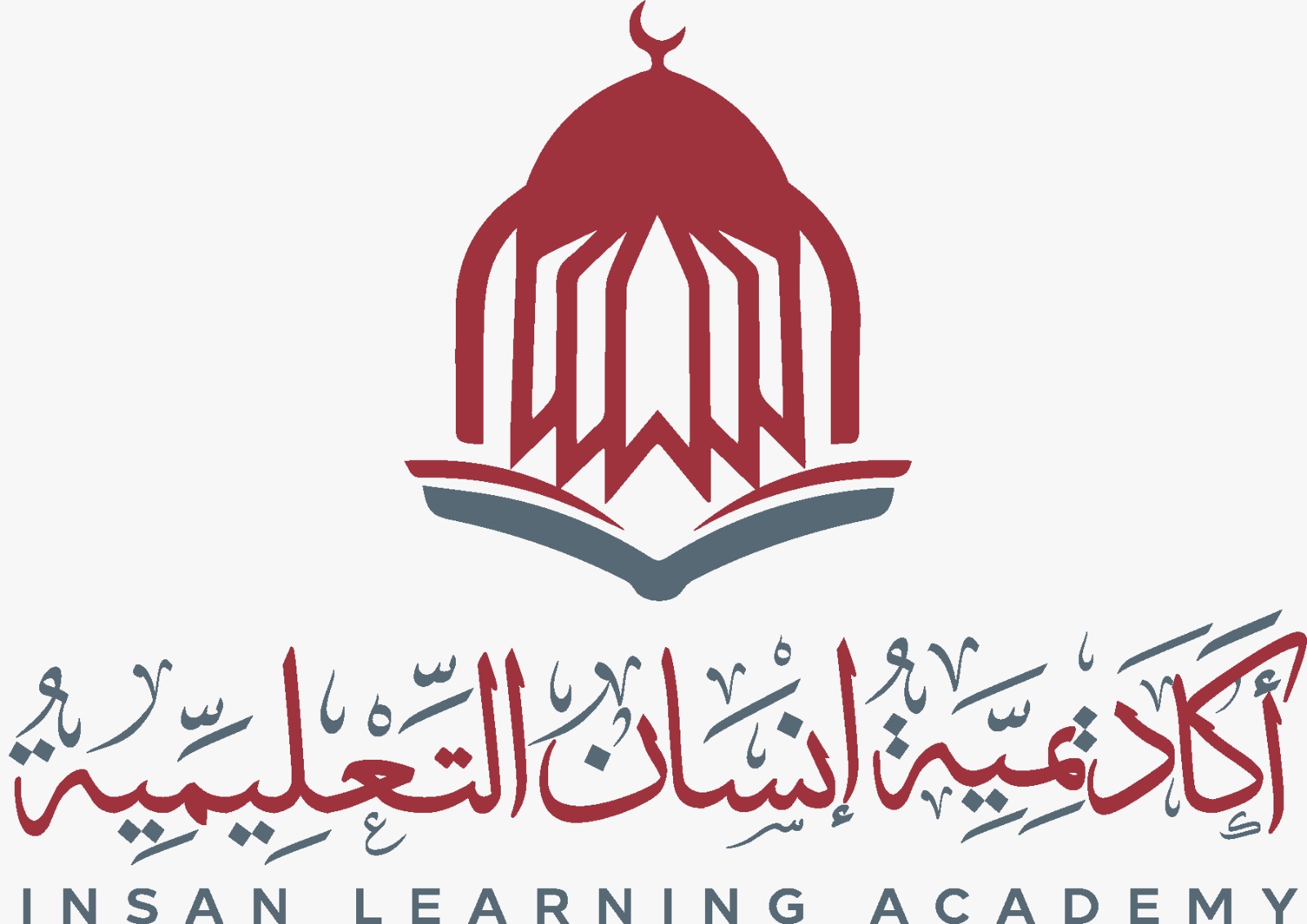 InsanLearningAcademy